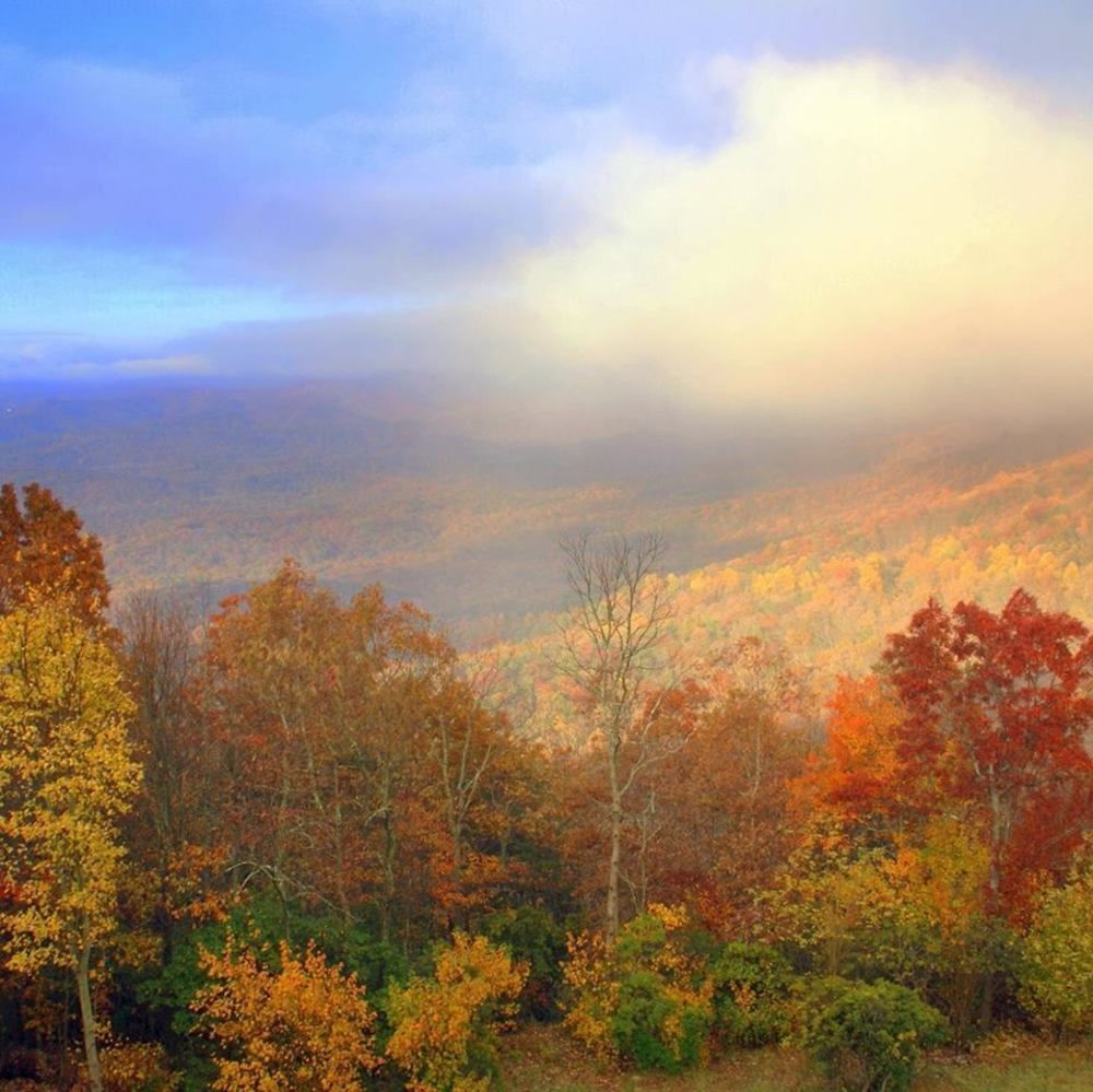 Amicalola Falls State Park And Lodge داوسونفيل المظهر الخارجي الصورة